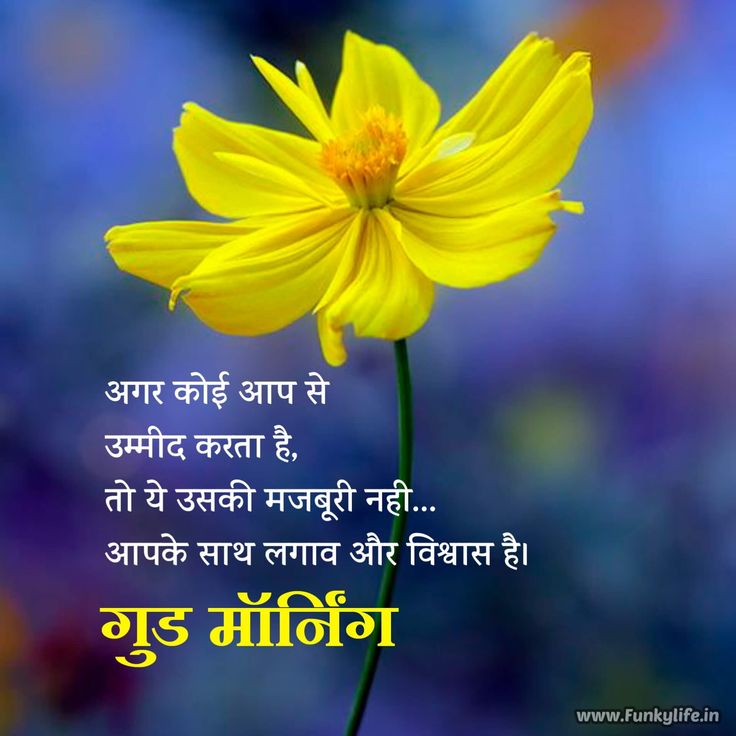 good morning quotes in hindi